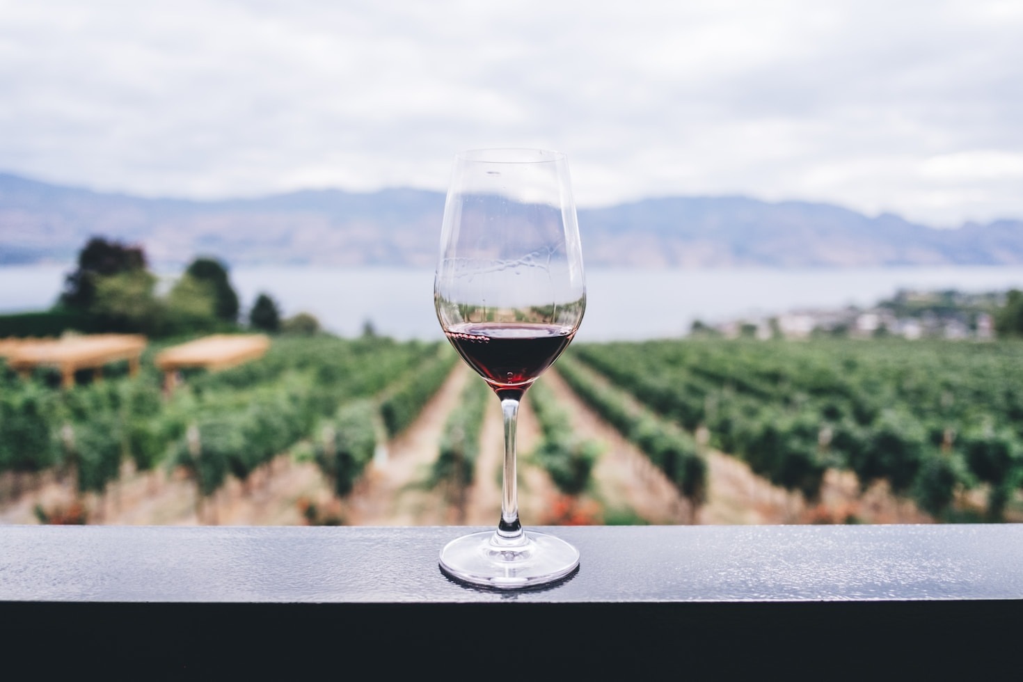 Best Champagne for Graduation Toasts, Gifts & Pictures