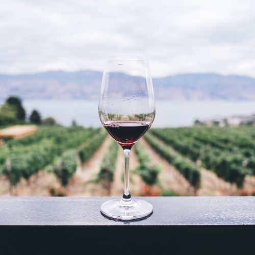 Must-Try Israeli Wines for Special Occasions